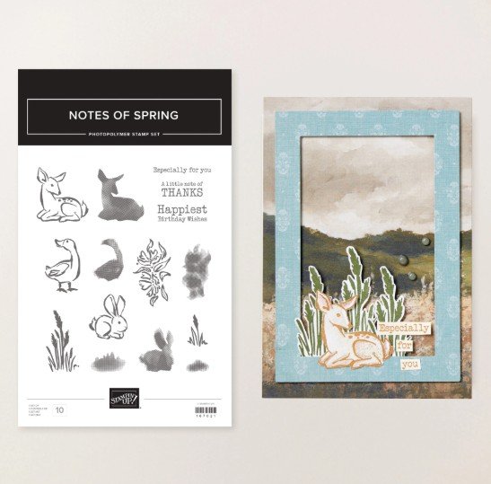 Stampin' Up! Product of the Month